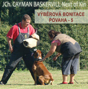 JCh. Cayman Baskervill Next of Kin