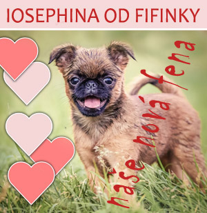 Iosephina od Fifinky